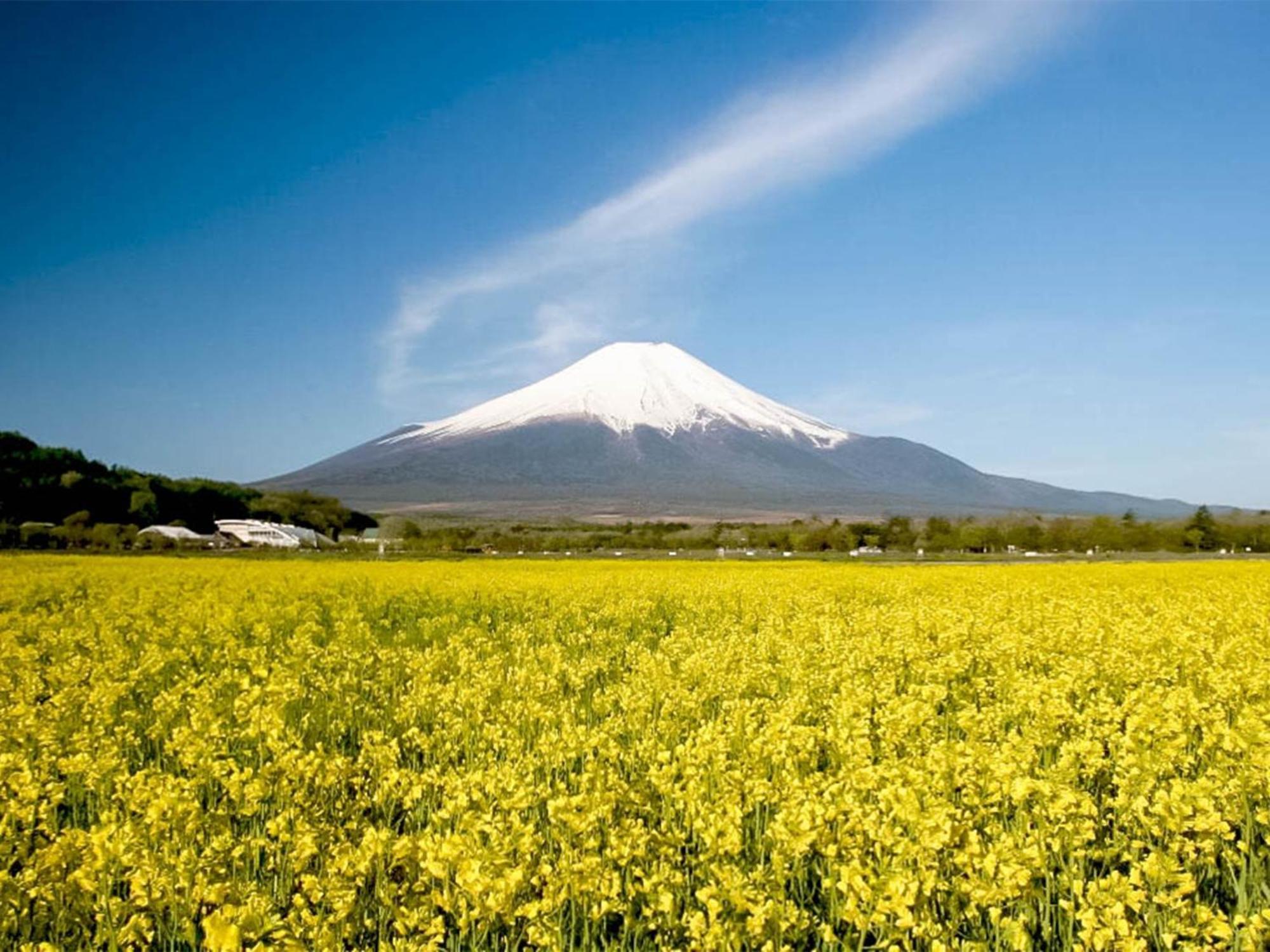 Minamitsuru-Gun - Hotel / Vacation Stay 45535 Yamanakako Bagian luar foto